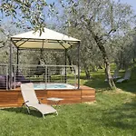 My Dream